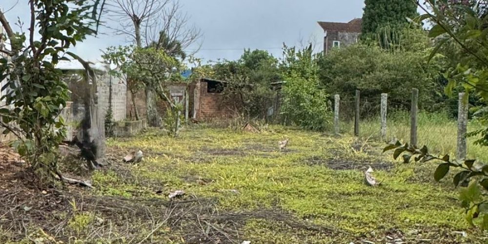 WhatsApp Image 2026-04-08 at 14.59.27-2