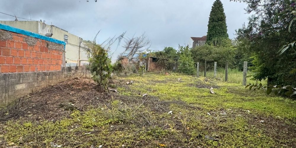 WhatsApp Image 2026-04-08 at 14.59.27