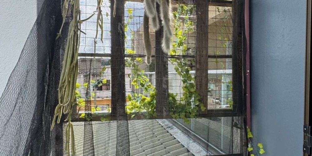 WhatsApp Image 2026-04-09 at 13.31.16